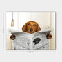 Wallity Lienzo Decorativo Multicolor 70 x 100 cm